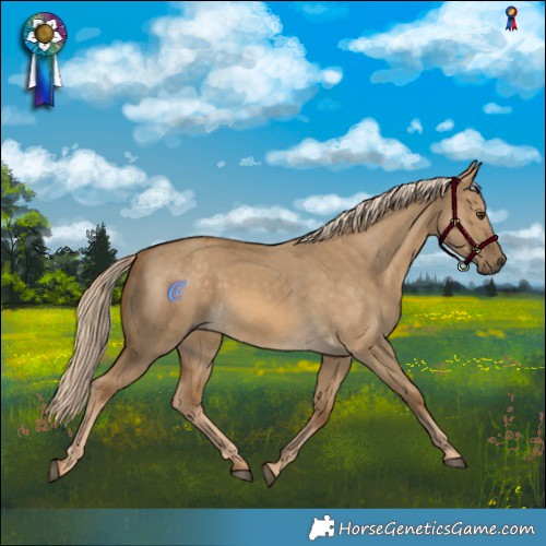 Horse Color:Chocolate Palomino Dun 