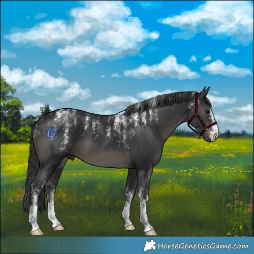 Horse Color:Powder White Black 
