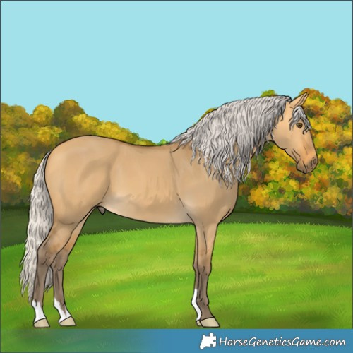 Horse Color:Silver Buckskin Dun 