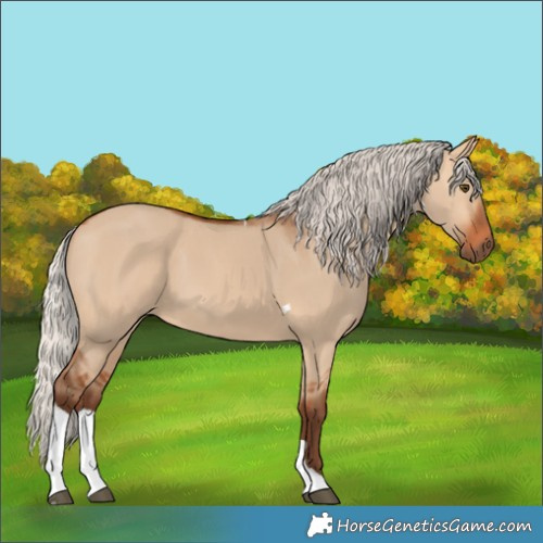 Horse Color:Silver Bay Dun Tobiano 
