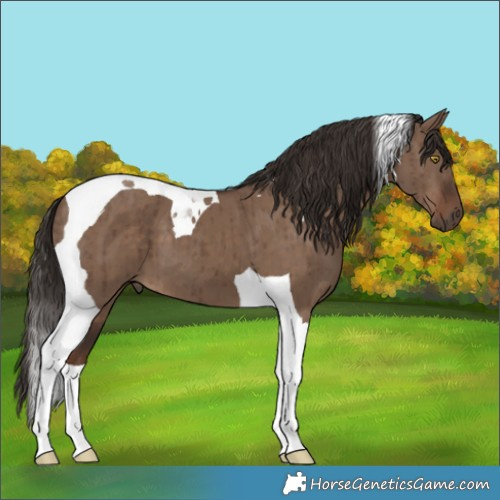 Horse Color:Liver Red Dun Tobiano Brindle 