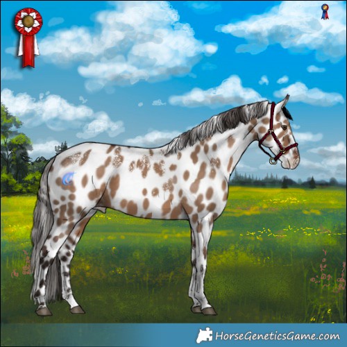 Horse Color:Powder White Liver Red Dun Leopard 