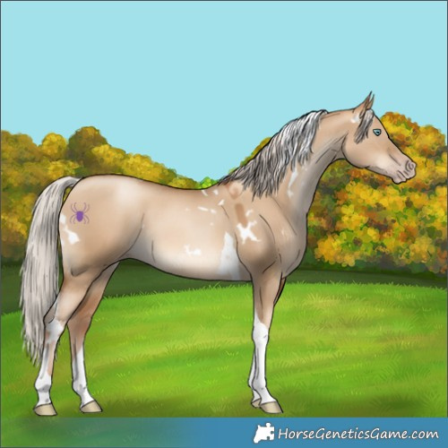 Horse Color:Gray White Spotted Silver Sable Champagne Pearl Dun Tobiano
