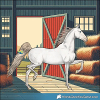 Horse Color:Smoky Creme Roan Dun 