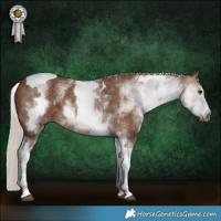 Horse Color:Gray White Spotted Chocolate Silver Bay Dun Tobiano