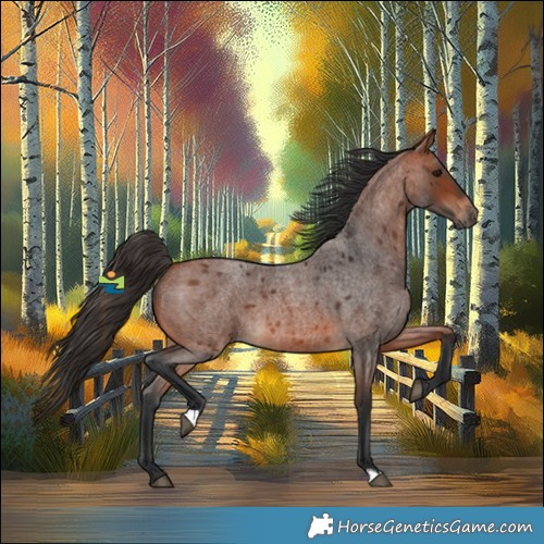 Horse Color:Bay Roan 