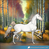 Horse Color:Perlino Roan Dun 