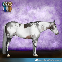 Horse Color:Gray White Spotted Brown Frame 