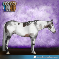 Horse Color:Gray White Spotted Brown Frame 