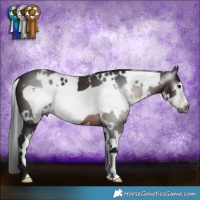Horse Color:Gray White Spotted Brown Frame