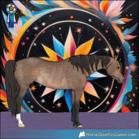 Horse Color:Bay Dun Rabicano