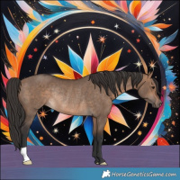Horse Color:Bay Dun Rabicano 