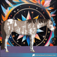 Horse Color:Liver Red Dun Sabino Appaloosa Brindle 