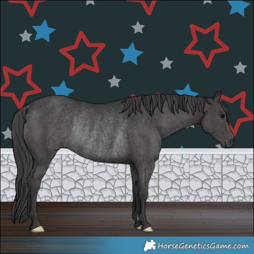 Horse Color:Black Rabicano 