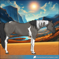 Horse Color:Grullo Tobiano 