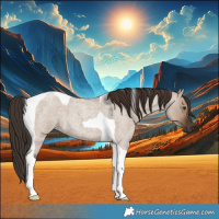 Horse Color:Liver Red Dun Roan Tobiano 