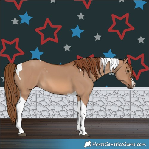Horse Color:Red Dun Tobiano 