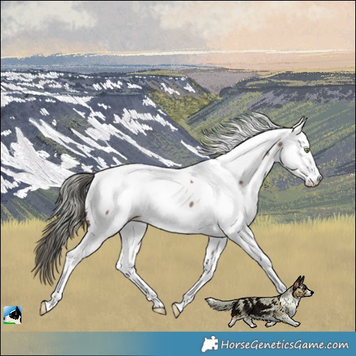 Horse Color:Liver Red Dun Mushroom Fewspot