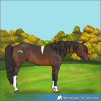 Horse Color:Brown Tobiano Rabicano