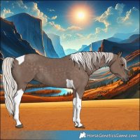 Horse Color:Silver Black Tobiano
