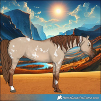Horse Color:White Spotted Red Dun Rabicano 