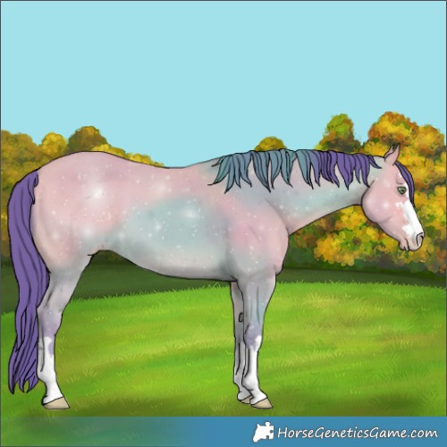 Horse Color:Watercolor Amber Champagne