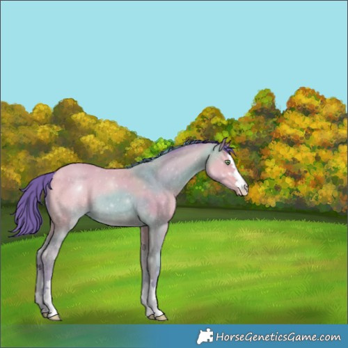 Horse Color:Watercolor Amber Champagne 