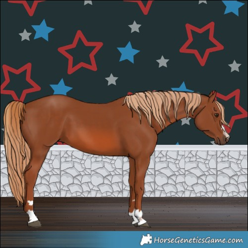 Horse Color:Chestnut 