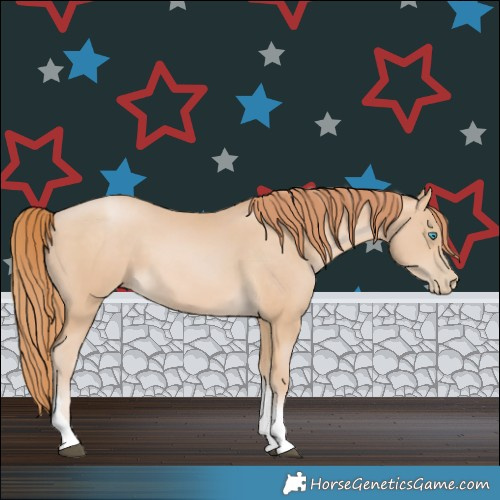 Horse Color:Buckskin Pearl Tobiano 