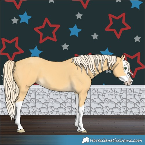Horse Color:Gold Cream Champagne Splash 