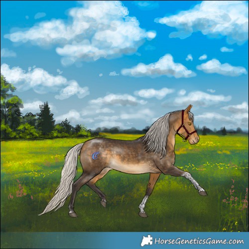 Horse Color:Silver Buckskin Tobiano 