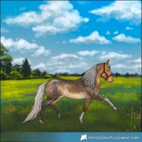 Horse Color:Silver Buckskin Tobiano 