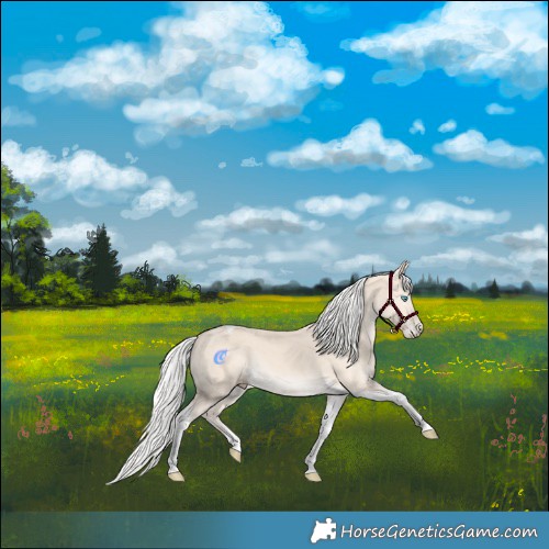 Horse Color:Silver Perlino Tobiano Rabicano 