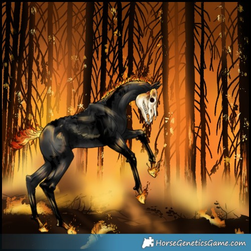 Horse Color:Void Black Tobiano Rabicano