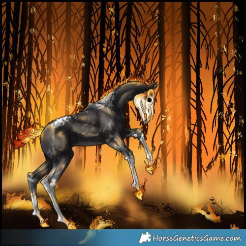 Horse Color:Smoky Black Tobiano 