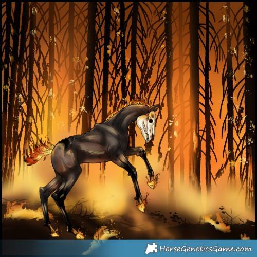 Horse Color:Void Brown Tobiano