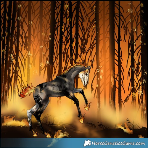 Horse Color:Void Blue Onyx Tobiano Appaloosa Rabicano 