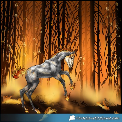 Horse Color:Smoky Blue Ice Roan Rabicano 