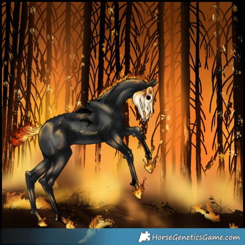 Horse Color:Void Black Tobiano