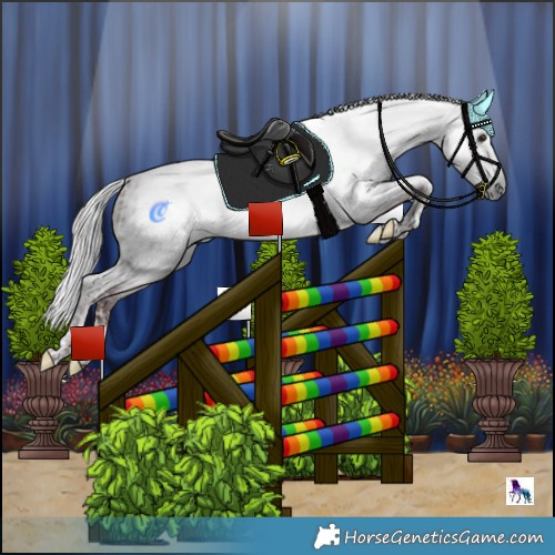 Horse Color:Powder White Gray Chocolate Pseudo Buckskin Splash Tobiano  and Powder White Gray Chocolate Pseudo Buckskin Splash Tobiano 