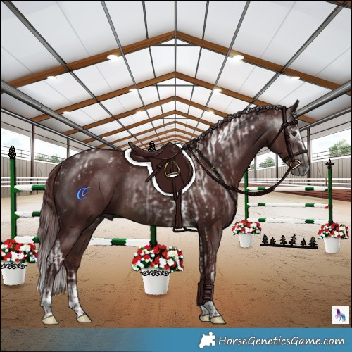 Horse Color:Powder White Gray Chocolate Brown Splash Tobiano and Powder White Gray Chocolate Brown Splash Tobiano
