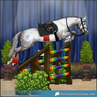Horse Color:Powder White Gray Chocolate Brown Splash Tobiano  and Powder White Gray Chocolate Brown Splash Tobiano 