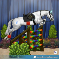 Horse Color:Powder White Gray Chocolate Pseudo Buckskin Splash Tobiano and Powder White Gray Chocolate Pseudo Buckskin Splash Tobiano