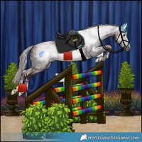 Horse Color:Powder White Gray Chocolate Brown Splash Tobiano  and Powder White Gray Chocolate Brown Splash Tobiano 