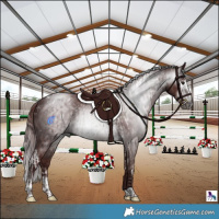 Horse Color:Powder White Gray Chocolate Brown Splash Tobiano  and Powder White Gray Chocolate Brown Splash Tobiano 