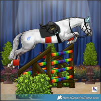 Horse Color:Powder White Gray Chocolate Brown Splash Tobiano and Powder White Gray Chocolate Brown Splash Tobiano