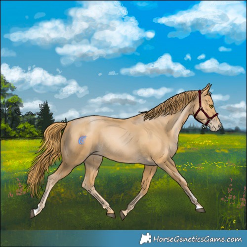 Horse Color:Chestnut Pearl