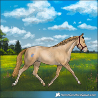Horse Color:Chestnut Pearl