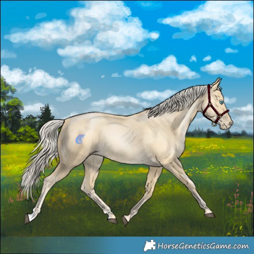 Horse Color:Chestnut Snowdrop Pearl