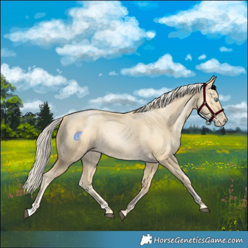 Horse Color:Chestnut Snowdrop Pearl